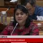 DPR Proses Naturalisasi Kevin Diks, Legislator Demokrat: Semoga Ini yang Terakhir