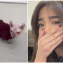 7 Fakta Menarik Kucing Sphynx, Kado Ulang Tahun Fuji dari Erika Carlina