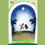 Resensi Novel Lari dari Pesantren: Sebuah Renungan dari Kisah Dua Santri