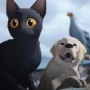 Review Film Animasi Flow: Perjalanan Kucing Hitam di Tengah Banjir Besar