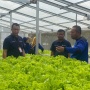 Petani Kendal Diedukasi Soal Agribisnis dan Pemaksimalan Hidroponik