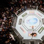 Lebih dari Sekedar Arena Pertarungan: Mengungkap Fakta Unik Octagon UFC