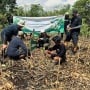 Telkomsel Jaga Bumi Perkuat Implementasi ESG, Tanam 10.600 Mangrove Hasil Donasi Poin Pelanggan, Kurangi Emisi Karbon