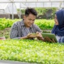 Lowongan Kerja Petani Milenial 2024 Dibuka! Gaji hingga Rp 10 Juta Per Bulan