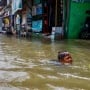 Banjir Rob Rendam Pemukiman di Muara Angke