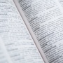Mengapa Angka 67 Dinobatkan Jadi Word of the Year 2025