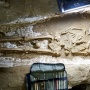 Renovasi Rumah, Keluarga Ini Terkejut Temukan Kuburan 700 Tahun dari Era Romawi