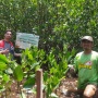 Pertamina Patra Niaga Regional JBB Tanam 3.750 Mangrove di Suaka Margasatwa Pulau Rambut