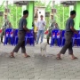 Viral Pria Nyoblos di TPS Dikawal Kambing, Ditemani Hingga ke Bilik Suara