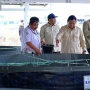 Prabowo Tinjau Kawasan BLUPPB Karawang, Dorong Swasembada Pangan dan Ekonomi Biru
