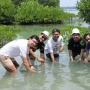 Emiten BELI Ajak Pelaku Bisnis Tanam Mangrove Hadapi Perubahan Iklim