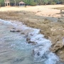 Pantai Batu Bengkung, Serpihan Surga di Malang Selatan!