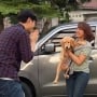 4 Fakta Unik Rivfo Pet Taxi Jogja, Inovasi yang Memudahkan Pemilik Hewan Peliharaan