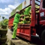 5 Hal Sepele yang Bikin Gas Elpiji Cepat Habis, Diam-Diam Bikin Boncos