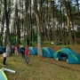 Wisata Bukit Baros Sukabumi, Sensasi Camping di Bawah Rimbunnya Pohon Pinus