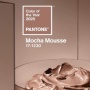 Mocha Mousse Jadi Warna Tahun 2025 Versi Pantone, Pancarkan Kehangatan Sekaligus Kemewahan