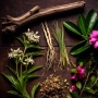7 Fakta Mengejutkan tentang Herbal Langka yang Hampir Punah