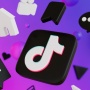 Download Video TikTok Favoritmu Tanpa Logo dengan Snaptik Gratis!