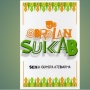 Celoteh Tahun Baru dalam Buku Obrolan Sukab Karya Seno Gumira Ajidarma