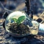 Indonesia Genjot Energi Surya, Momentum atau Sekadar Janji?