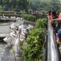 Ragunan Buka Malam? DPRD DKI Ajukan Syarat Ketat!