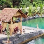 Kampung Durian Bengkulu, Merasakan Sensasi Berenang di Tengah Alam Syahdu