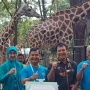 Rajaka, Nama Bayi Jerapah Pembuka 5 Abad Kota Jakarta