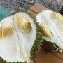 Sensasi Lezat Durian Kumpeh Jambi: Petualangan Rasa yang Tak Terlupakan