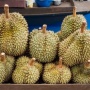 Bagaimana Vietnam Kalahkan Indonesia dan Jadi Raja Durian Asia?