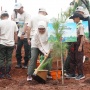 PEPC JTB Tanam 157,7 Ribu Pohon di Area Seluas 127,48 Ha di Cianjur