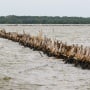 Geger Tubuh Tak Bernyawa Tersangkut di Pagar Laut Bekasi, Begini Pengakuan Nelayan