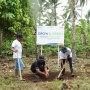Tanam Mangrove Hingga Pohon Produktif, BRI Berkomitmen Hijaukan Indonesia