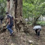 Aplikasi Jagat Ubah Format Permainan Demi Ketertiban Umum