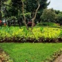 Menikmati Akhir Pekan Bersama Keluarga di Taman Cattleya Kota Jakarta