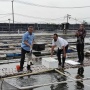 Permintaan Ikan Kerapu Jabodetabek Tembus 60 Ton per Bulan, Penyediaan Fasilitas Jadi Tantangan
