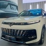 Wuling Tebar Promo untuk Lini Kendaraan Listrik dan Hybrid