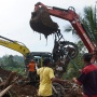 BNPB Imbau Daerah Siaga Hadapi Banjir dan Longsor, Minta Cek Tanggul dan Pangkas Pohon