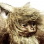 Gon, The Little Fox: Animasi Stop Motion Sarat Makna yang Bikin Hati Pilu