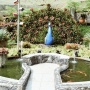 Bird and Bromelia Pavilion, Wisata Edukasi Mengenal Ragam Jenis Burung