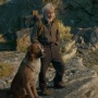 Review Film The Call of the Wild: Petualangan Seekor Anjing di Hutan Alaska