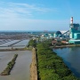Co-Firing Biomassa di PLTU PLN Hasilkan 1,67 Juta MWh Listrik Hijau Sepanjang 2024