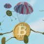 Investasi Crypto untuk Pemula: Pahami Peluang dan Risikonya Sebelum Terjun