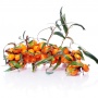 Manfaat Sea Buckthorn dalam Perawatan Kulit: Rahasia Kulit Sehat dan Terawat