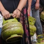 Cara Beli Gas 3 Kg per 1 Februari 2025: Hanya 4 Golongan yang Berhak, Simak Syaratnya
