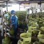 Pemerintah Ubah Penyaluran LPG 3 Kg, Masyarakat yang Masuk Kelompok Ini Boleh Beli
