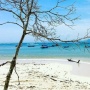 Pantai Plengkung, Wisata Alam Berpasir Putih Favorit Pencinta Surfing