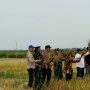 Panen Perdana di Lahan Baru Dadahup, Bukti Nyata Keberhasilan Ekstensifikasi Lahan Pertanian