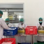 Dukung Pelaku UMKM Naik Kelas Hingga Go Global Melalui Program BNI Xpora