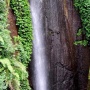 Wisata Alam Curug Nangka, Persona Air Terjun di Tengah Keasrian Kota Bogor