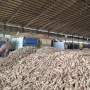 Hilirisasi Ubi Kayu Mulai Berjalan, Tak Hanya Buat Pangan, Tapi untuk Bioetanol
